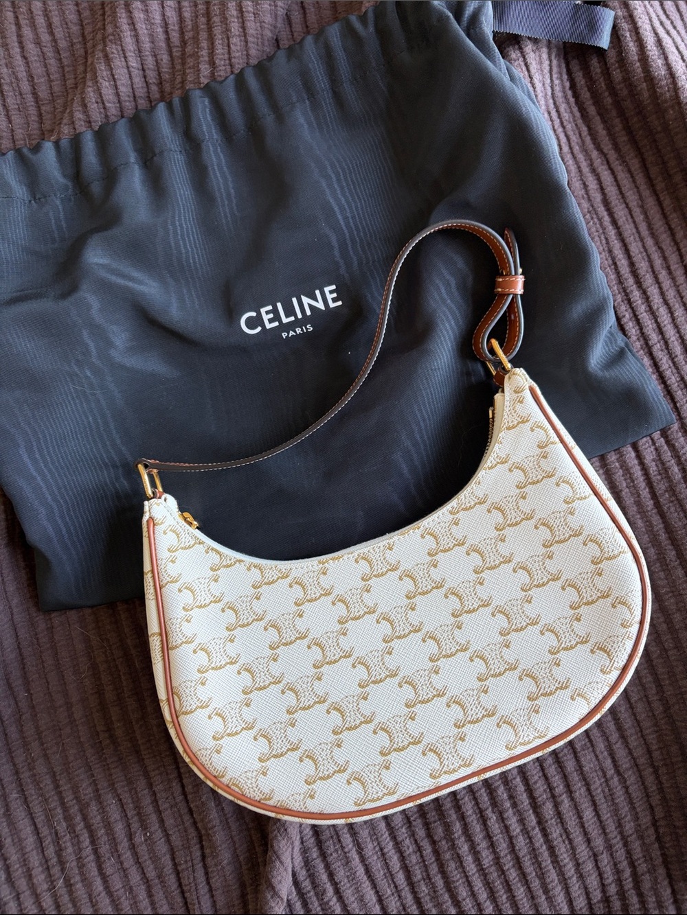 Celine Ava bag in Triomphe Canvas and Calfskin